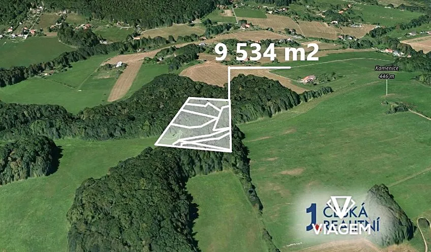 Prodej podílu 1/3 lesa 6435 m²