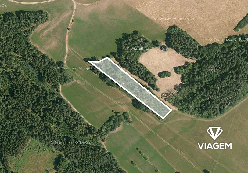 Prodej podílu 1/3 lesa 3080 m²