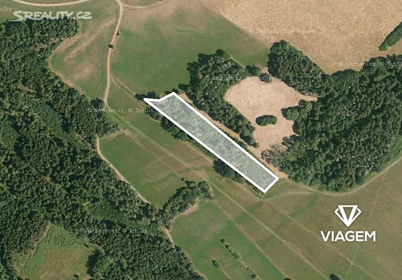 Prodej podílu 1/3 lesa 3080 m²