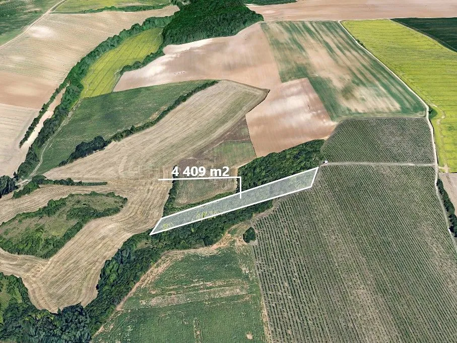 Prodej podílu 1/4 lesa 1102 m²