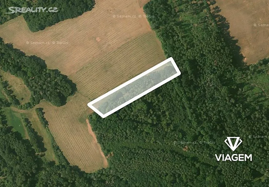 Prodej podílu 13/18 pole 4004 m²