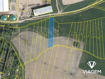 Prodej pole 1547 m²
