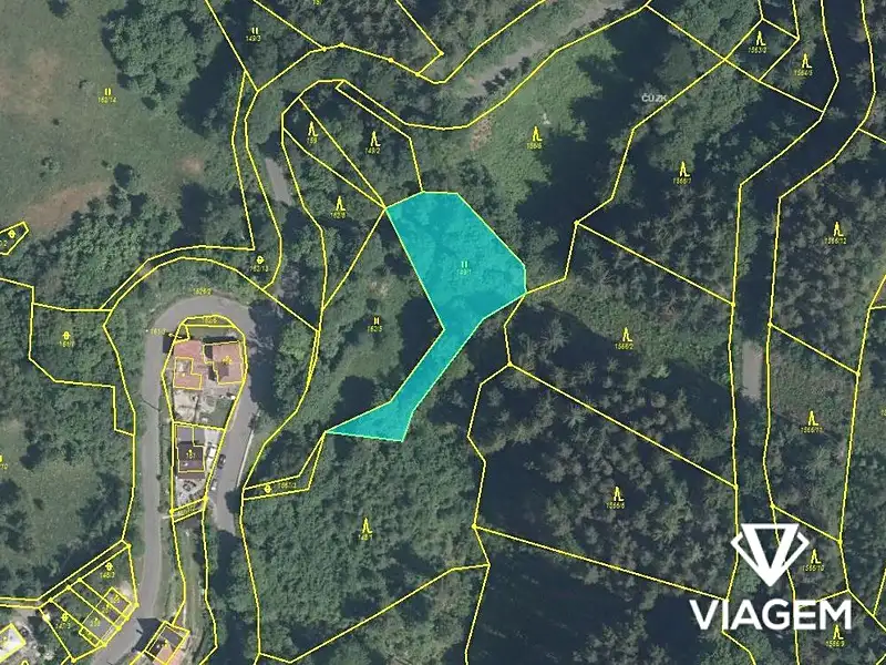 Prodej pole 1503 m², Železný Brod – náhled fotky 1