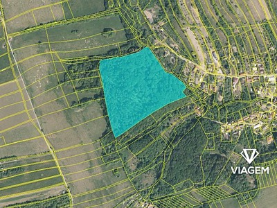 Grundstück zum Kauf, 8.165 m² (3 von 4)