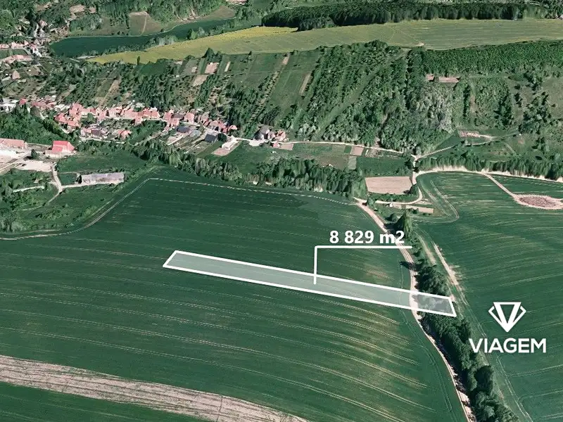 Prodej pole 8829 m², Nedachlebice – náhled fotky 2