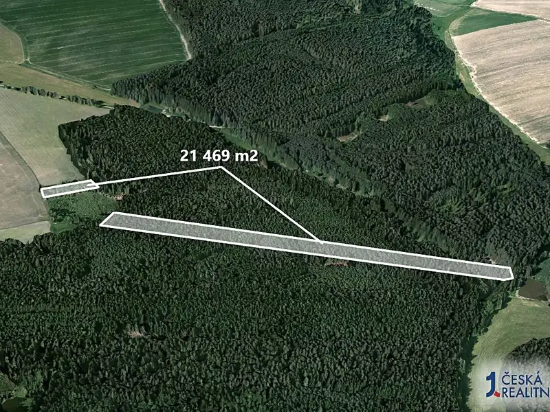 Prodej lesa 21469 m², Chrbonín – náhled fotky 2