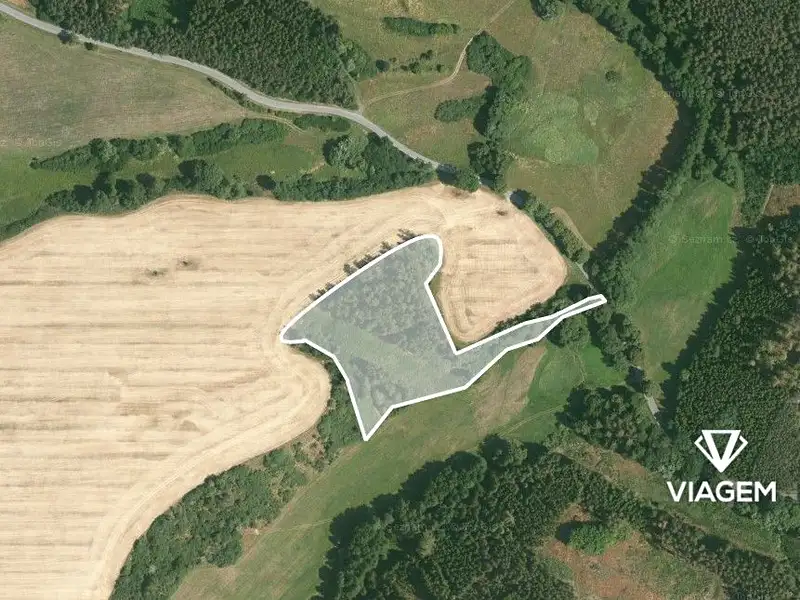 Prodej lesa 11749 m², Svojšín – náhled fotky 2