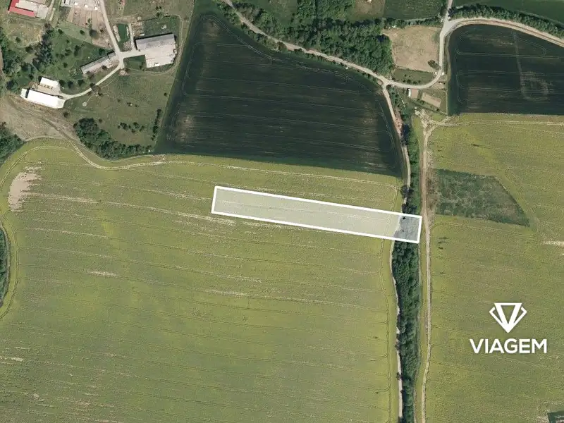 Prodej pole 8829 m², Nedachlebice – náhled fotky 1