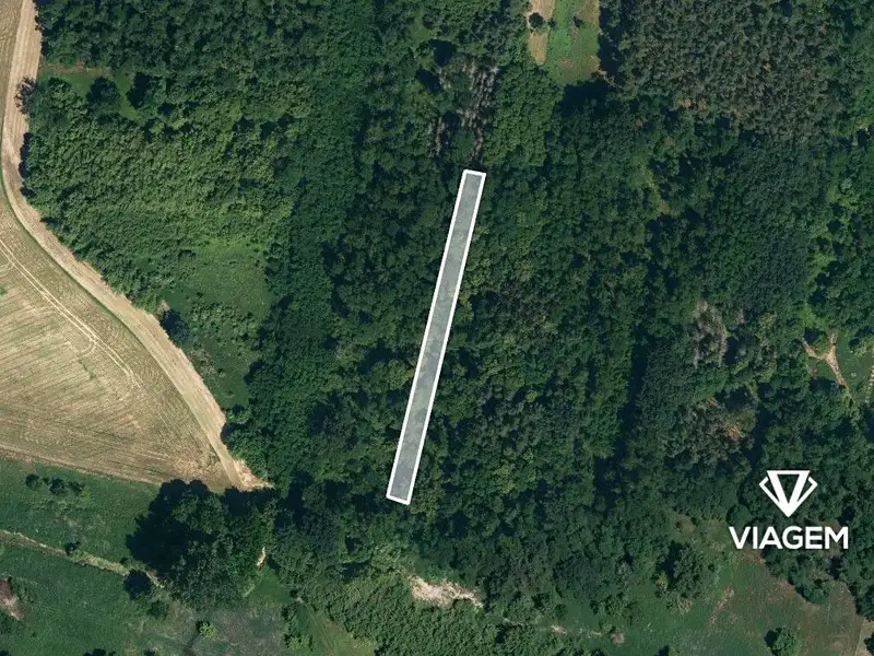 Prodej lesa 1274 m², Hovorany – náhled fotky 2