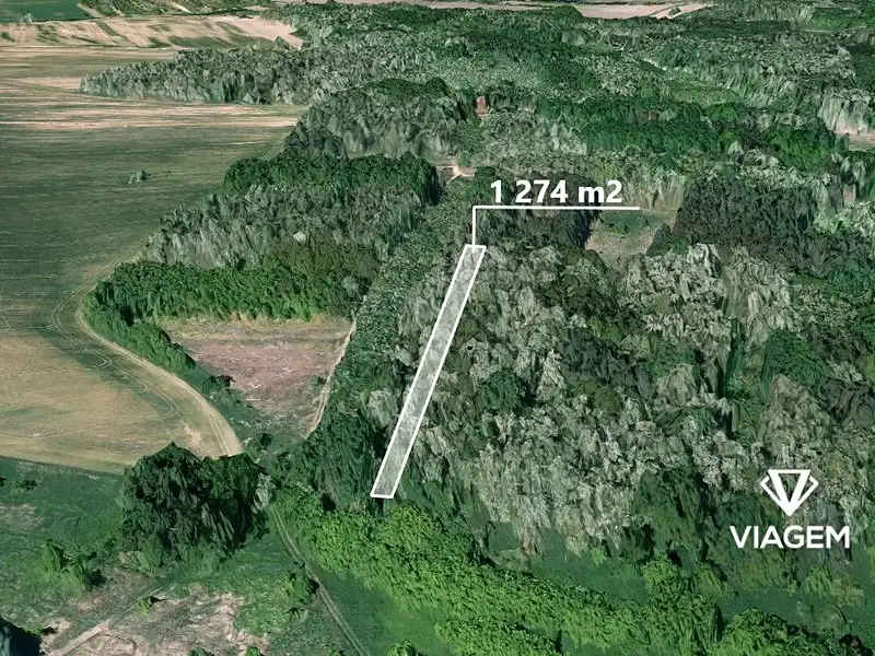 Prodej lesa 1274 m², Hovorany – náhled fotky 1