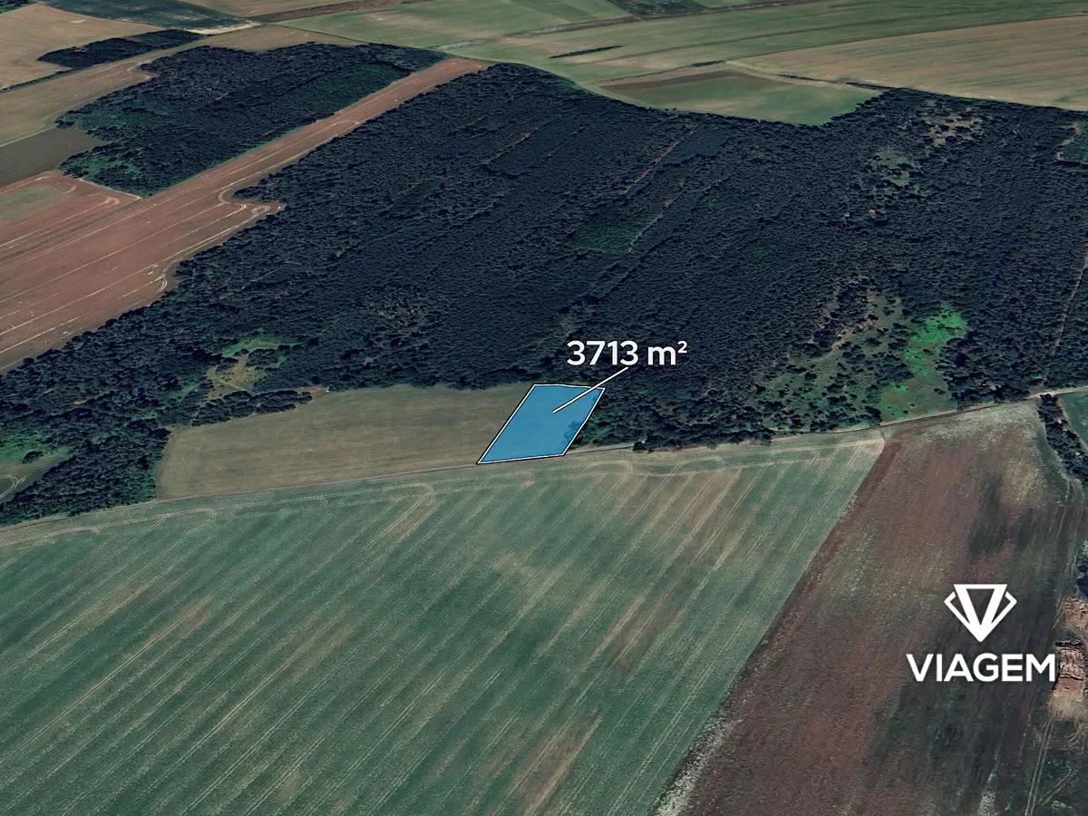 Prodej pole 3713 m²