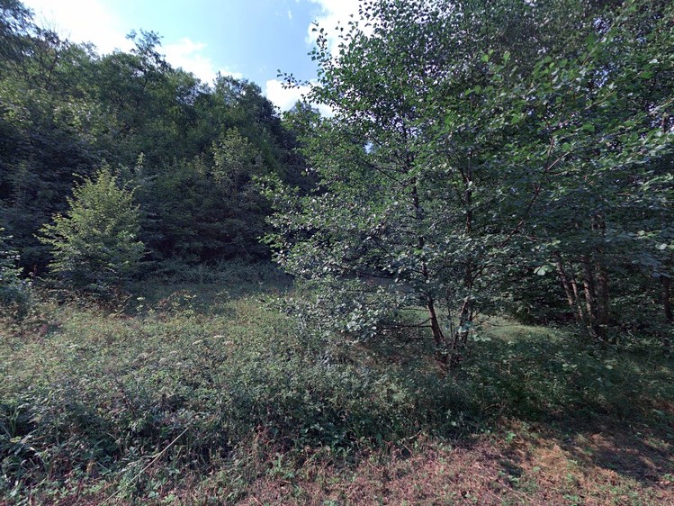 Prodej pozemku, 4 533 m² (2 z 3)