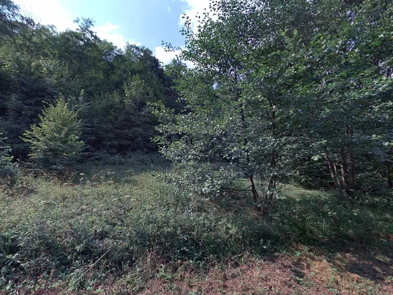 Prodej louky 4533 m², Černá Voda – náhled fotky 2