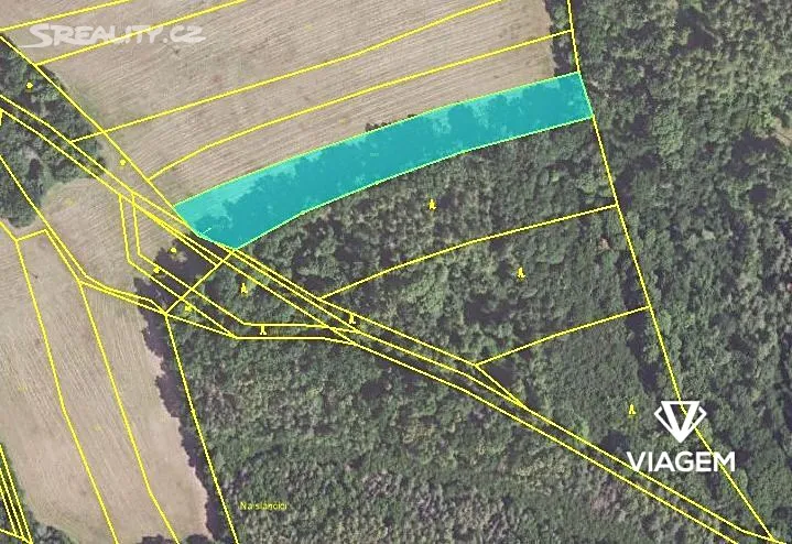 Prodej podílu 13/18 pole 4004 m² – pohled 3