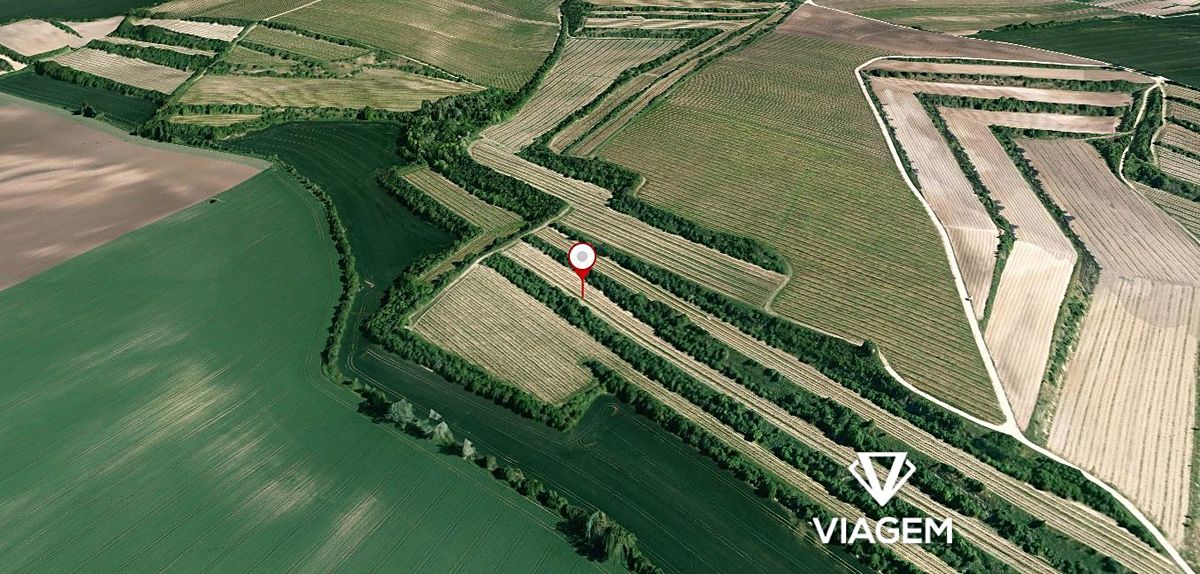 Prodej pole 2053 m², Čejkovice – fotka 1 z 3