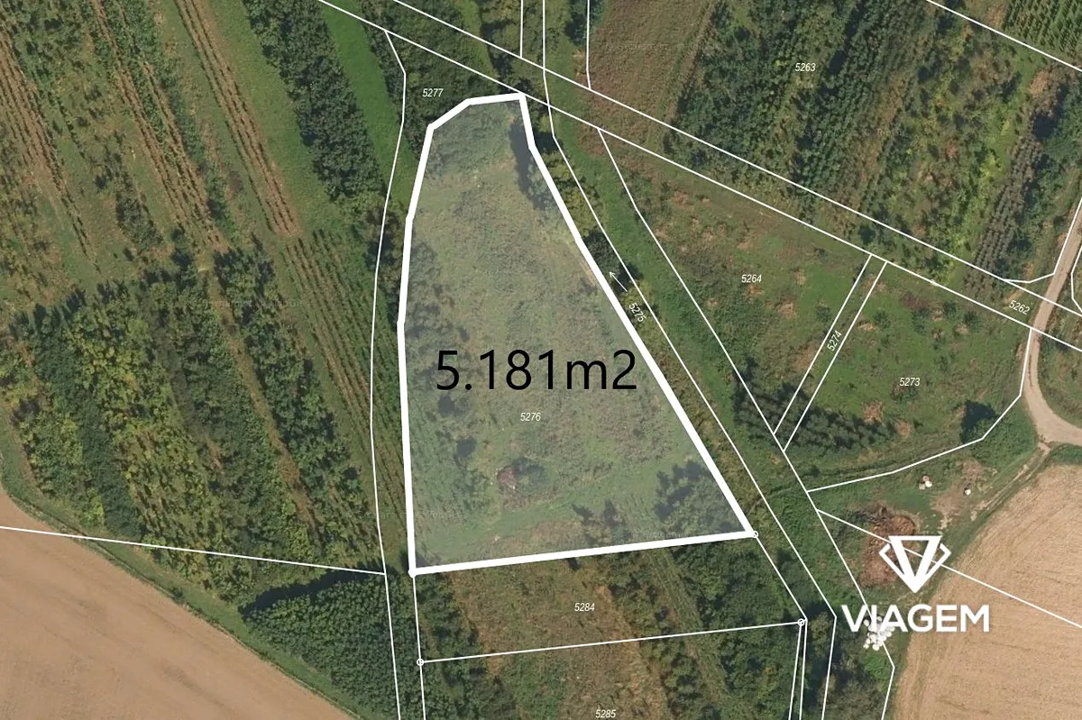 Prodej pole 5181 m²