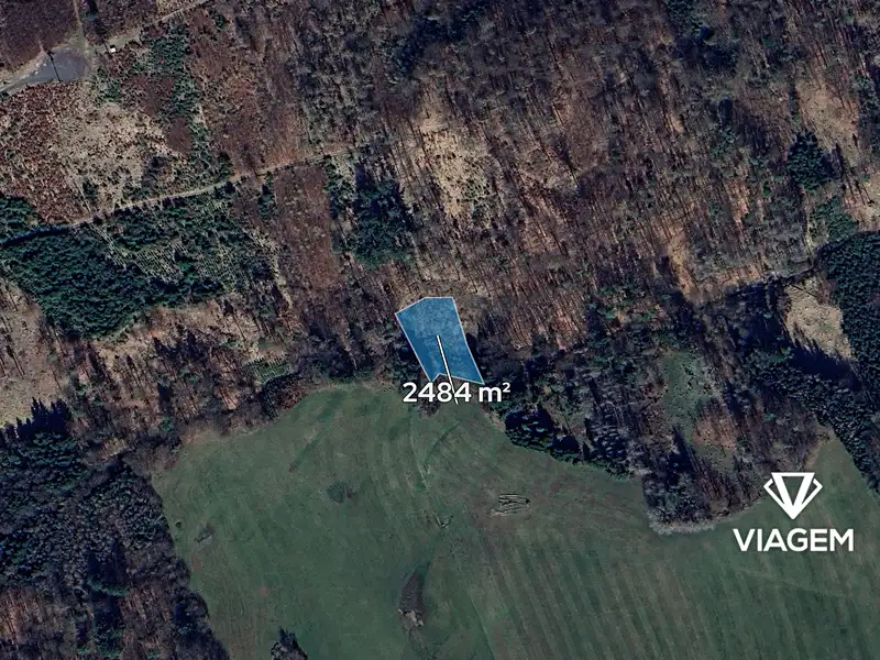 Prodej lesa 2484 m², Stříbrná Skalice – náhled fotky 2