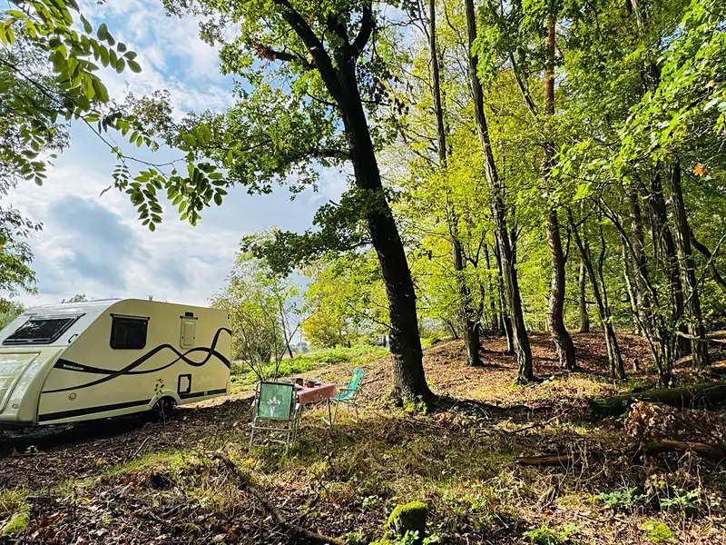 Prodej lesa 893 m², Postupice – náhled fotky 2