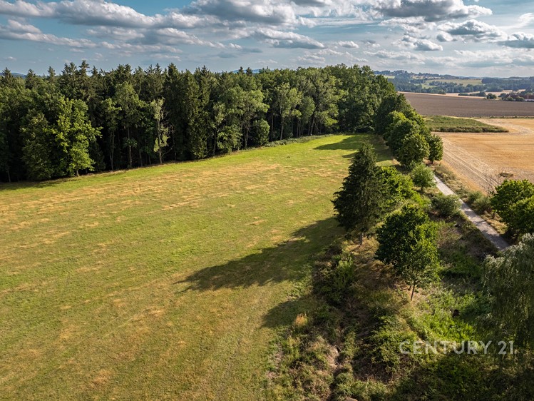 Gewerbefläche zum Kauf, 600 m² (7 von 40)