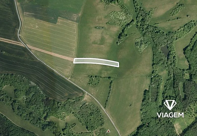 Prodej podílu 1/4 pole 1165 m²