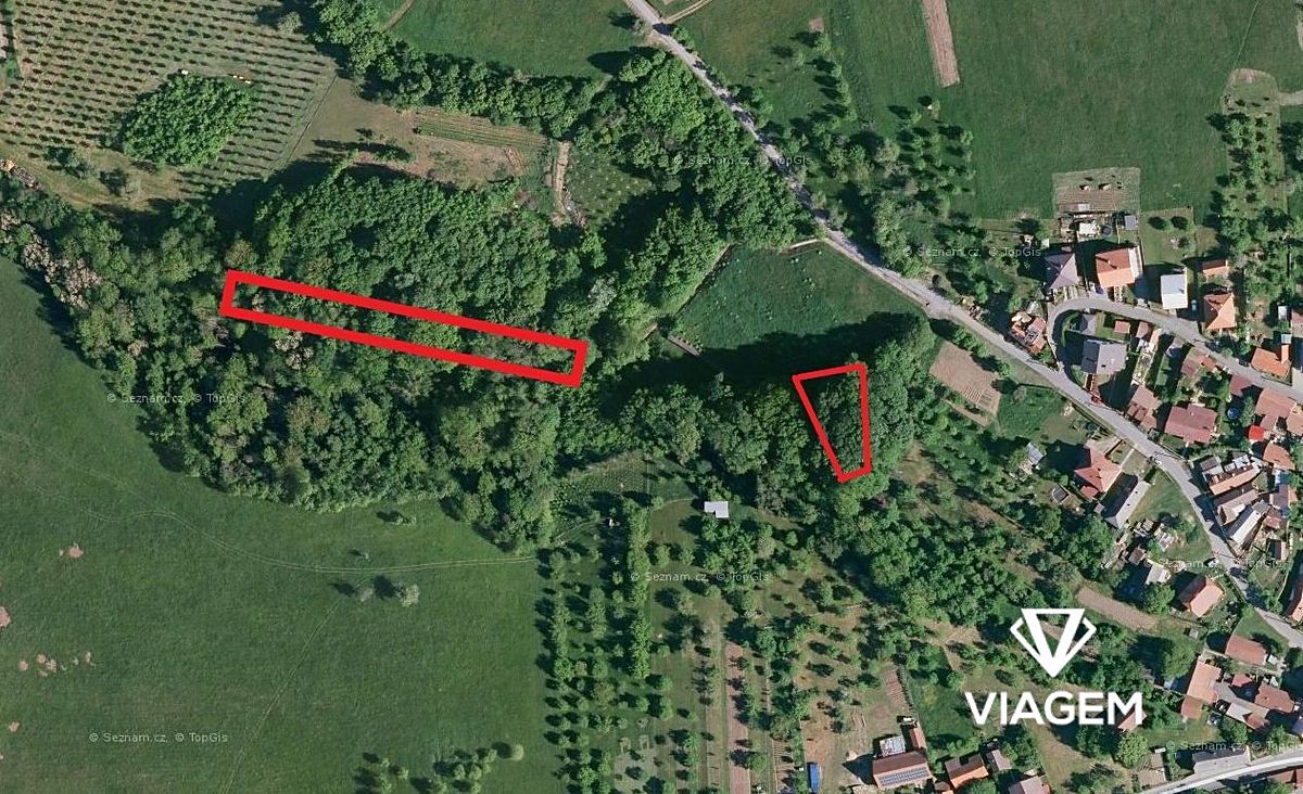 Prodej lesa 2756 m², Velký Ořechov – fotka 1 z 3