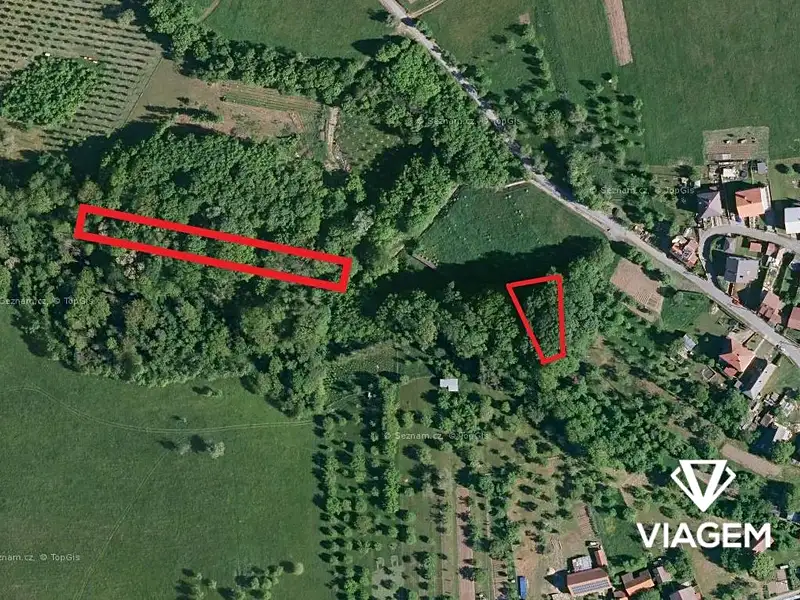 Prodej lesa 2756 m², Velký Ořechov – náhled fotky 1