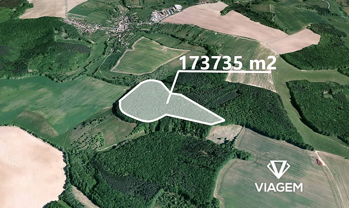 Prodej podílu 5/28 lesa 31024 m²