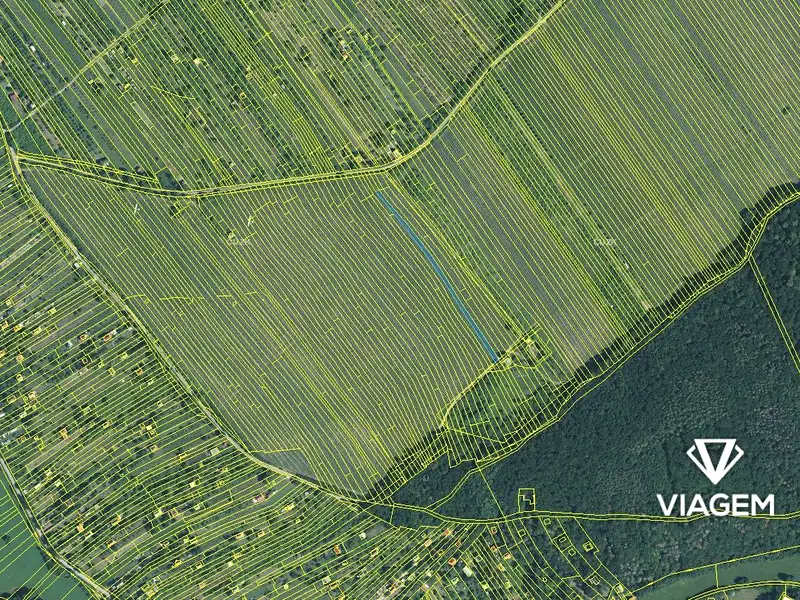 Prodej pole 3361 m², Strážnice – náhled fotky 3