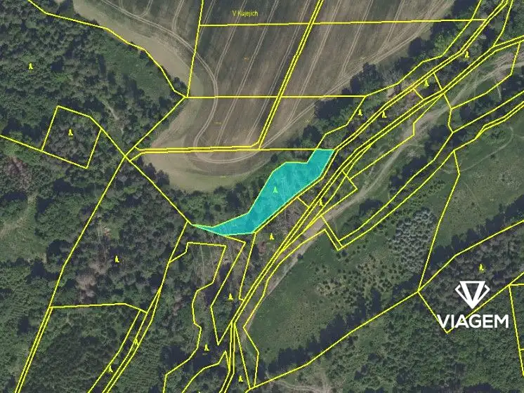 Prodej lesa 1886 m², Jablonná – náhled fotky 3