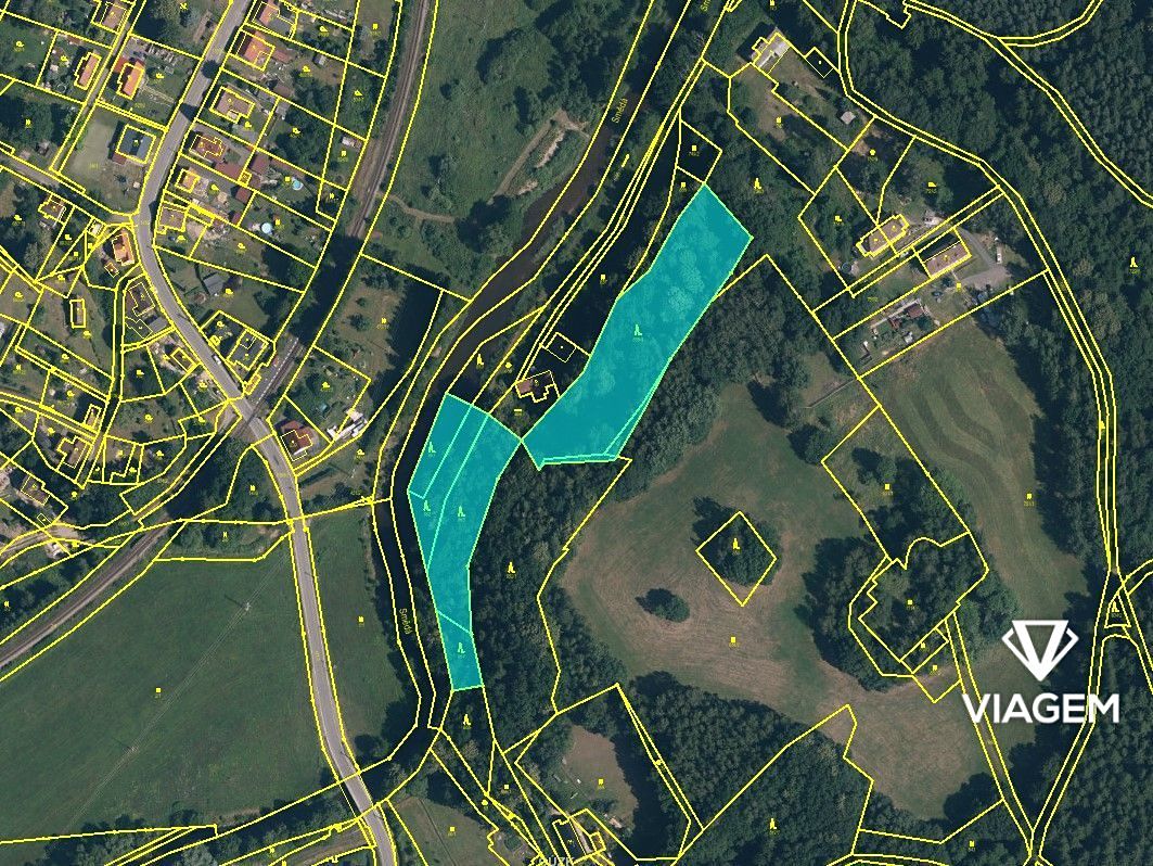 Prodej lesa 8074 m² – fotografie 3
