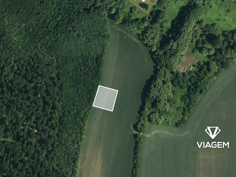 Prodej pole 1596 m², Kyjov – náhled fotky 2