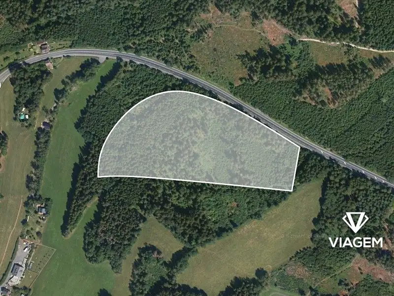 Prodej lesa 41323 m², Loužnice – náhled fotky 2