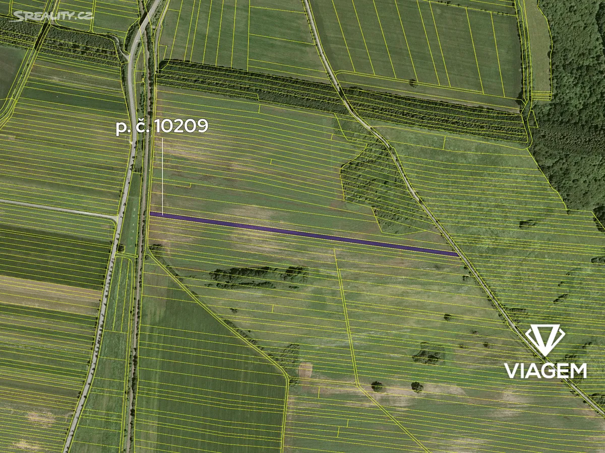 Prodej podílu 1/4 pole 1541 m² - View 4