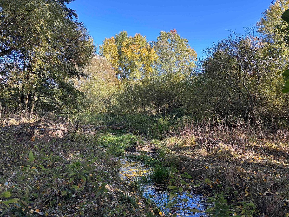 Prodej rybníku (vodní plochy) 6467 m² – fotografie 2