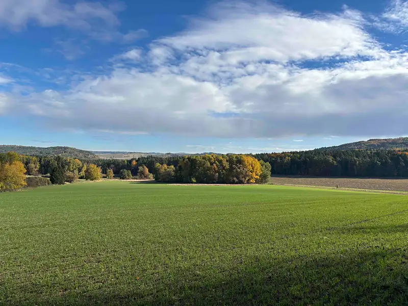 Prodej rybníku (vodní plochy) 6467 m², Švihov – náhled fotky 3
