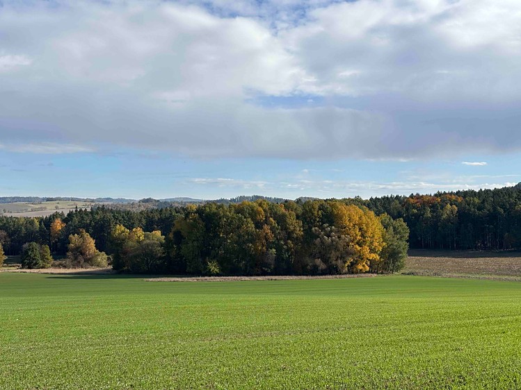 Grundstück zum Kauf, 6.467 m² (4 von 12)