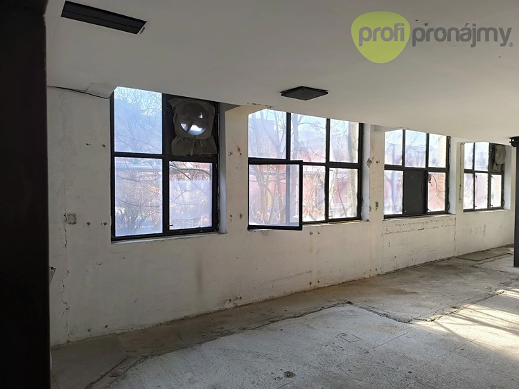 Комерційне приміщення в оренду, 521 м² (7 з 25)