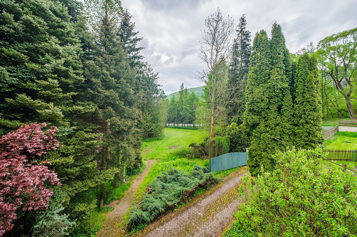 Prodej rodinného domu 105 m², pozemek 11600 m² – fotografie 5