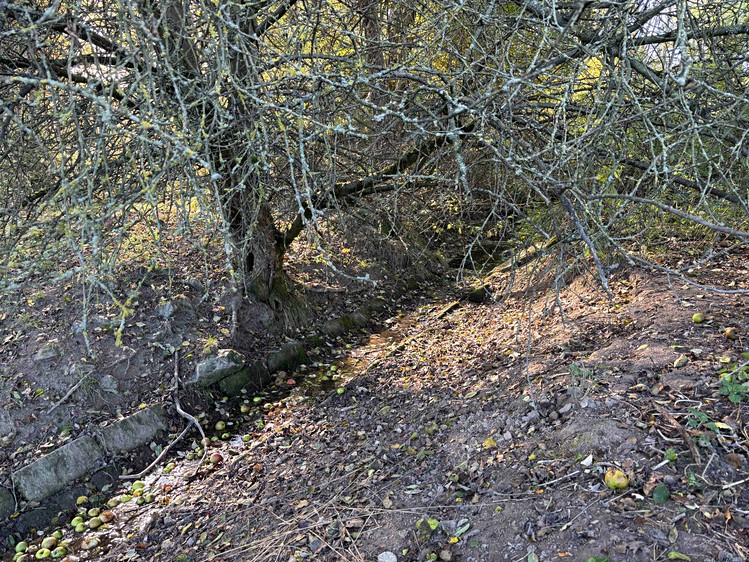 Grundstück zum Kauf, 6.467 m² (8 von 12)