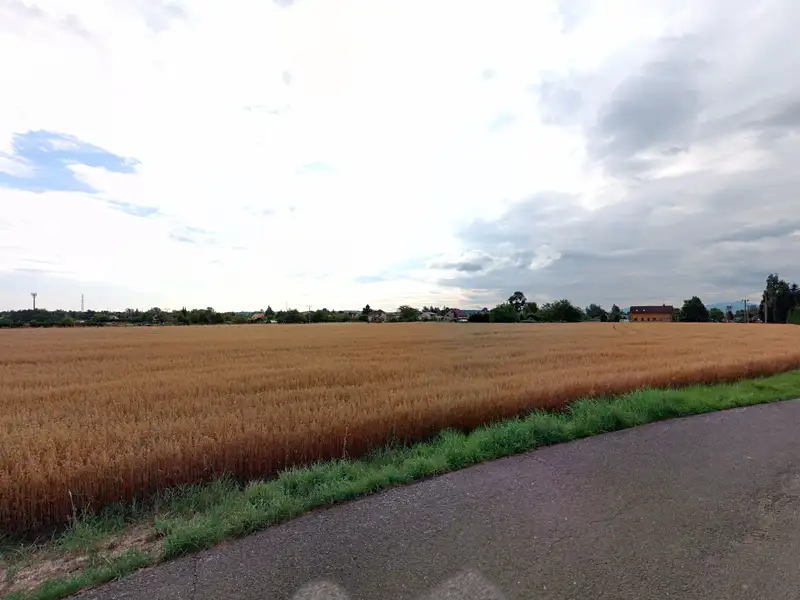 Prodej stavebního pozemku 980 m², Ostrava – náhled fotky 3