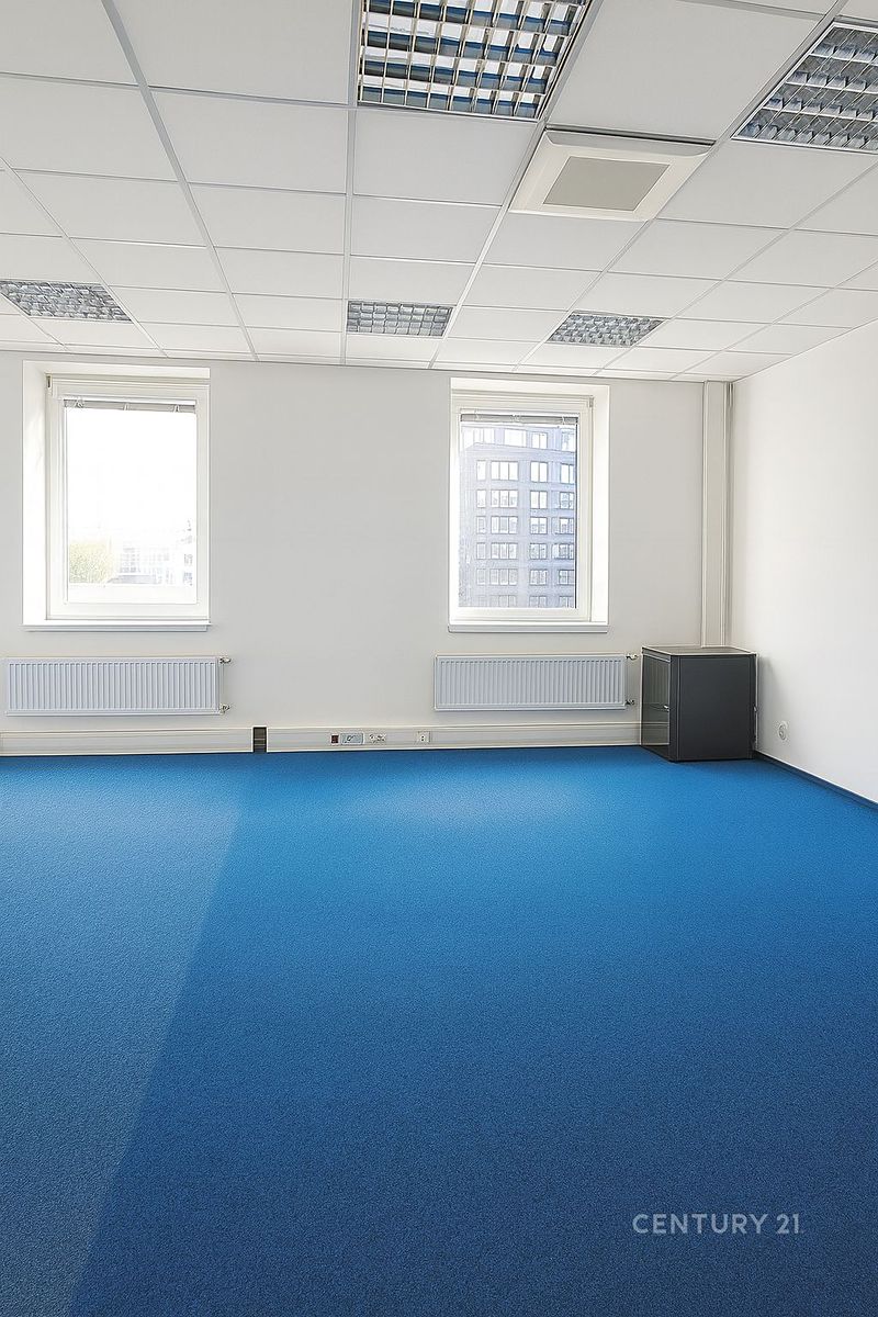 Pronájem kanceláře 394 m² – fotografie 5
