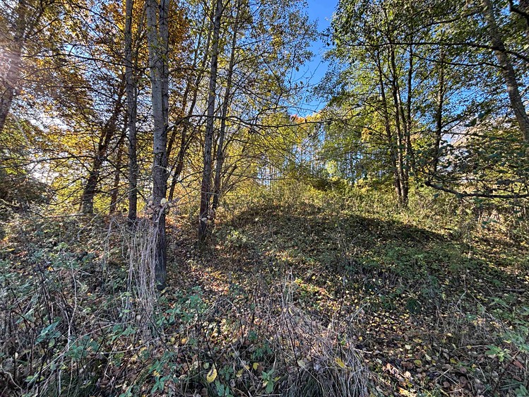 Grundstück zum Kauf, 6.467 m² (10 von 12)