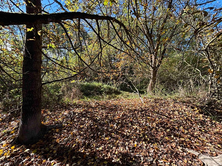 Grundstück zum Kauf, 6.467 m² (11 von 12)