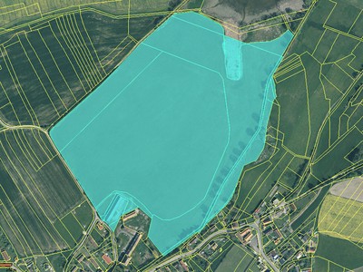 Ježovy