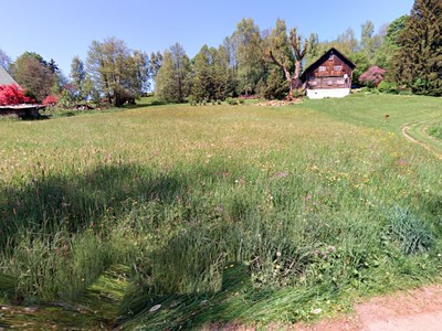 Bartošovice v Orlických Horách