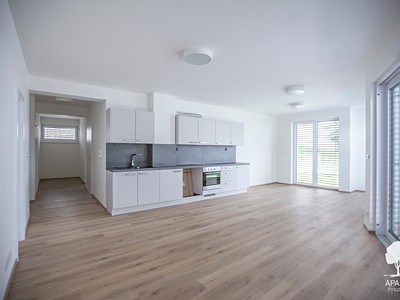 Pronájem bytu 5+kk 138 m² (Jednopodlažní)