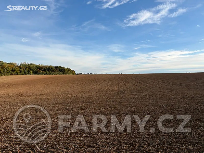 Prodej pole 40596 m², Roztoky