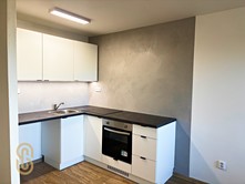 Pronájem bytu 1+kk 31 m² (Jednopodlažní)