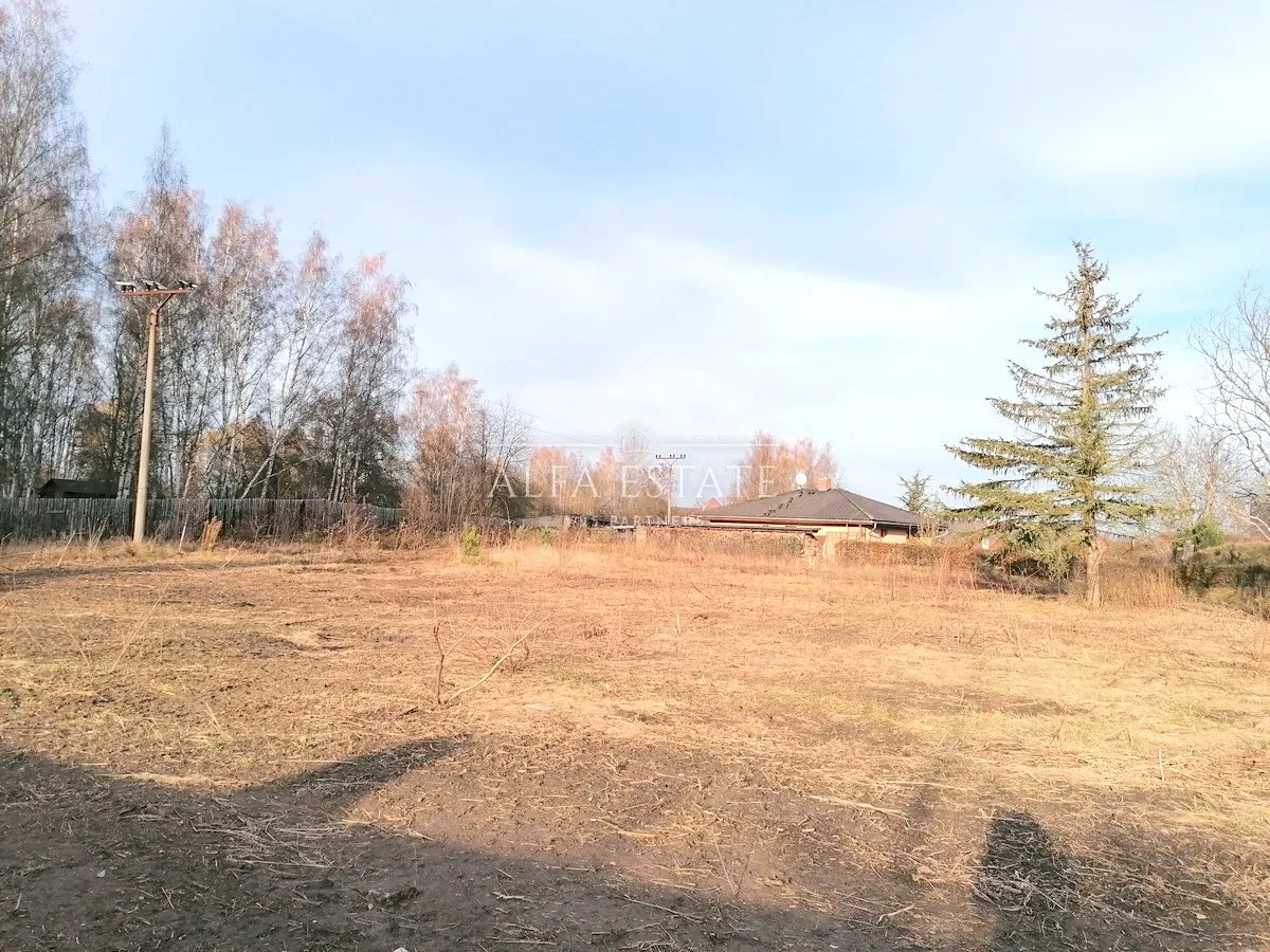 Fotka 10 z 13