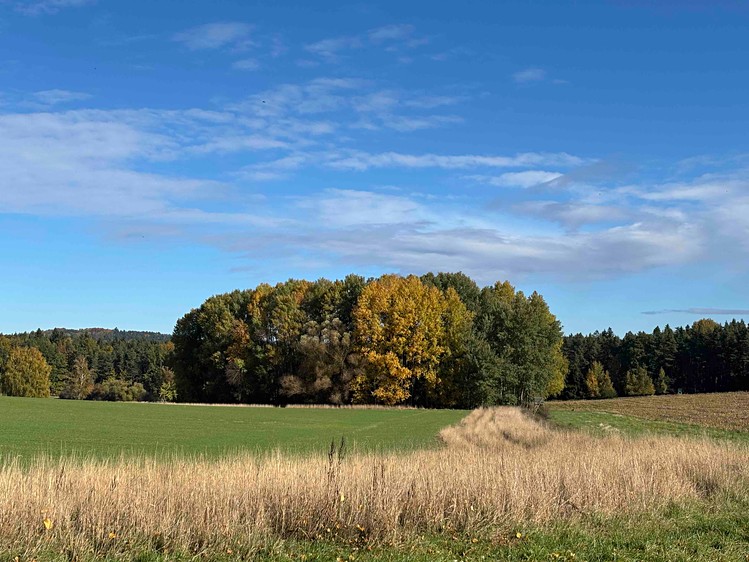 Grundstück zum Kauf, 6.467 m² (5 von 12)